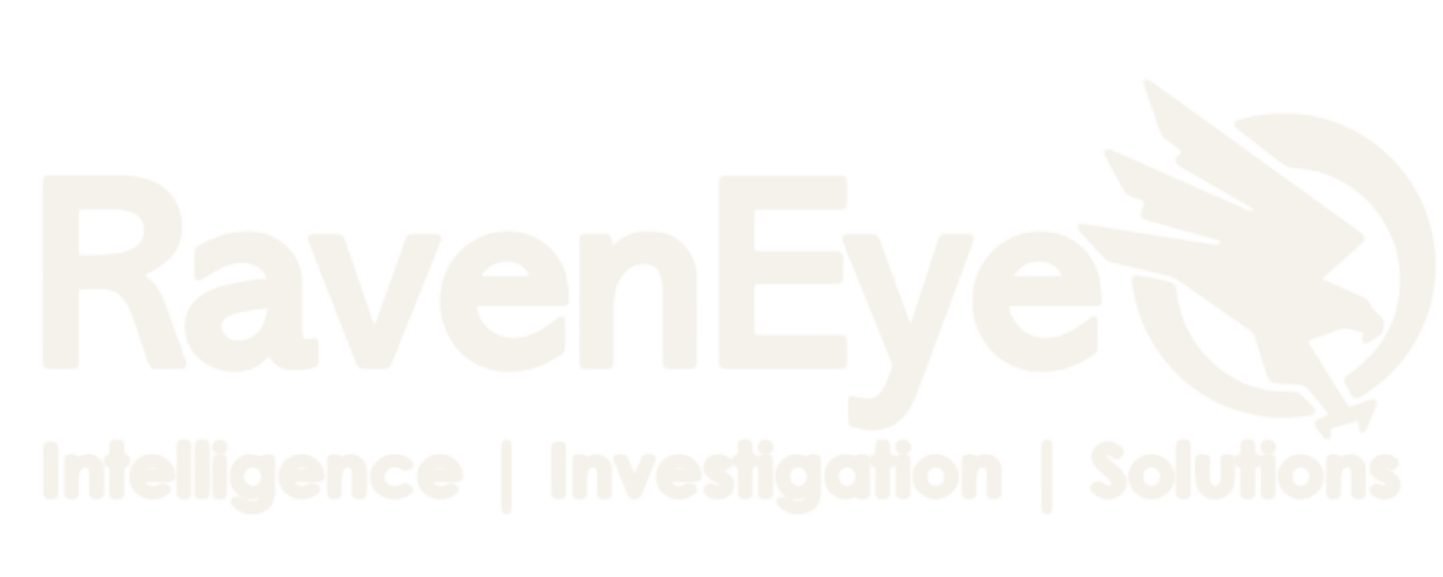 RavenEye — Intelligence | Investigation | Solutions